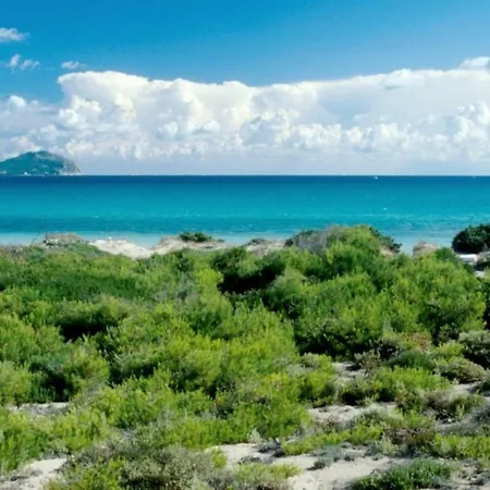 Curling * Port de Alcudia (Mallorca)